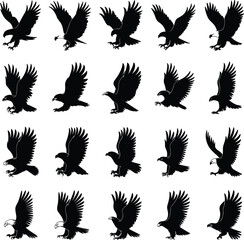 Fototapeta premium Eagle Silhouette Sequence Flying and Landing Poses Isolated on White Background