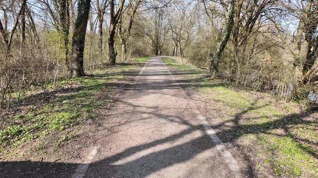 Scenic Cycling Path Through A Lush Forest