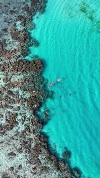 DRONE VERTICAL - LOS ROQUES 