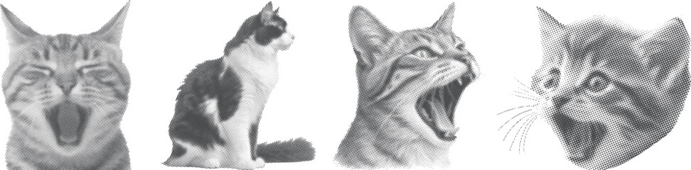 Vintage halftone cat collage with yawning kitten, sitting feline and roaring pet portraits in dotted pop art texture. Retro vector illustration for posters, t-shirts, stickers, branding and prints. © Parul