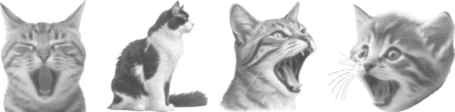 Vintage halftone cat collage with yawning kitten, sitting feline and roaring pet portraits in dotted pop art texture. Retro vector illustration for posters, t-shirts, stickers, branding and prints.
