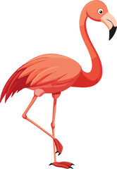 Fototapeta premium Pink Flamingo Standing Isolated on White Background Illustration