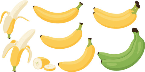 Bananas Set with Ripe and Unripe Yellow and Green Bananas for Fresh Fruit, Food, and Healthy Lifestyle Designs © MdLiton