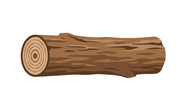 Willow wood log with cut rings flat vector illustration isolated natural timber design