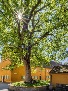 Die Fuggerei ist die &auml;lteste bestehende Sozialsiedlungen der Welt, gestiftet von Jakob Fugger, Augsburg, Schwaben, Bayern, Deutschland