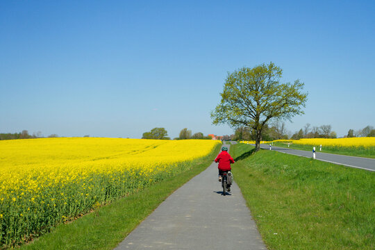 Radeln in der Schleiregion