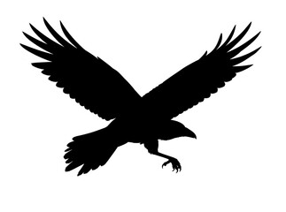 Fototapeta premium A black silhouette of a bird in mid-air against a bright blue or gray background