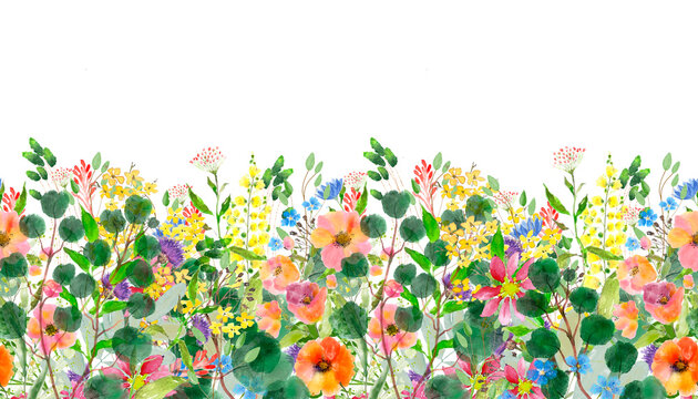 Seamless Summer Floral Border with Green Leaves and Wildflowers, High Resolution 4000x7000 px, 500 DPI, Transparent PNG, Nature Botanical Frame for Wedding Invitations, Print-Ready Graphic Element