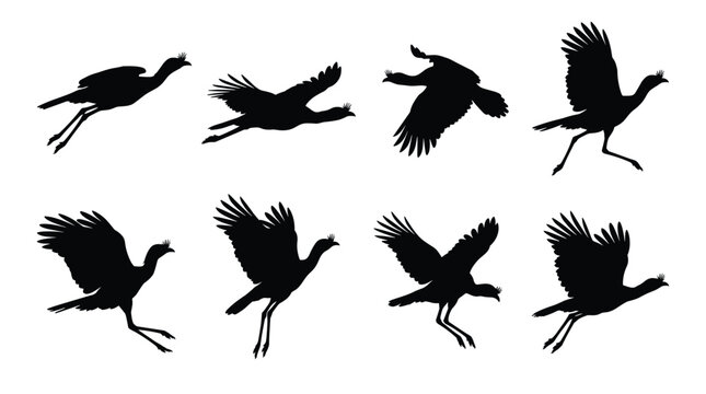 Crane Silhouettes Set - Elegant Long-Necked Birds Flying and Landing Vector Illustrations