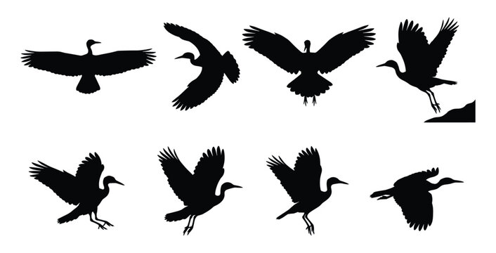 Great Cormorant Silhouettes - Aquatic Bird Flying and Diving Vector Set