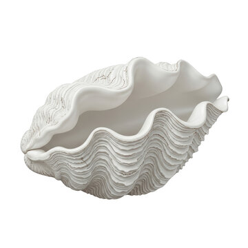 Large white giant clam shell with wavy textured edges and deep interior cavity, isolated on transparent background