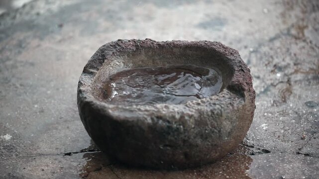With the arrival of spring, the rains that fall are collected in containers for the animals to drink from.