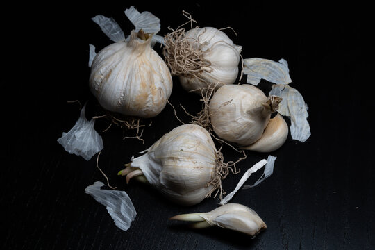 Still life of whole or clove garlic