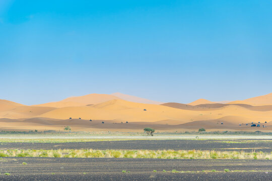 wide view of the golden Erg Chebbi sand dunes, Merzouga, in the Sahara Desert of Morocco featuring a lone tree in a stony plain under a clear blue sky with distant tourists on quads and 4x4 vehicles