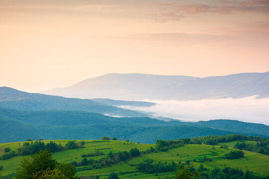 foggy carpathian countryside scenery at dawn in summer. view of mountainous landscape with rural fields on rolling hills. fog in the valley. clouds above the mountain. remote outdoors background
