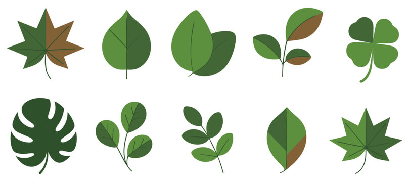 Green Leaves Illustration: A vibrant collection of green leaves showcasing various shapes and forms. Natural design elements, botanical patterns, foliage illustration, plant variety, leaf arrangement.