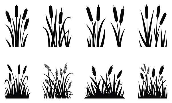 Cattail Silhouette Collection: A selection of cattail silhouettes with diverse arrangements, capturing the essence of wetland plants. Black reeds, monochrome nature, plant life, wetland elements.