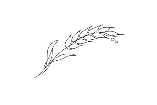 Simple black feather grass illustration in vector style with leaf and quill design isolated on white background