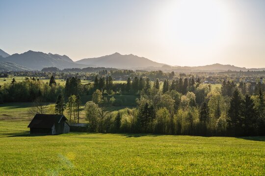 Bavarian alpine landscape in Schwangau with a wooden barn and green meadows in golden sunset light
