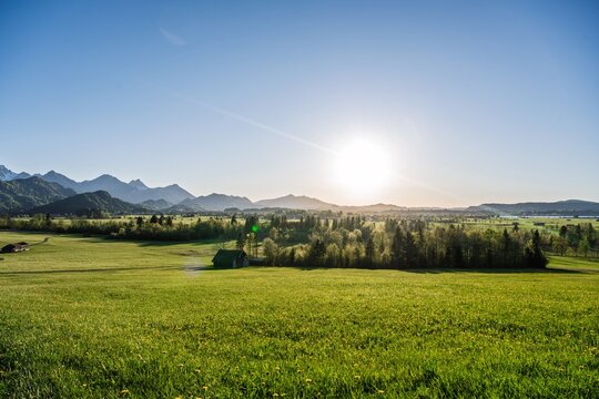 Bavarian alpine landscape in Schwangau with a green dandelion meadow and wooden barn in bright golden sunset light