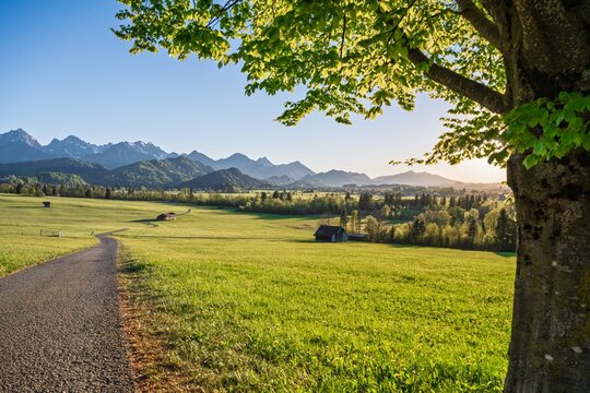 Winding path through green meadows in Schwangau with Bavarian Alps and wooden barns in golden sunset light