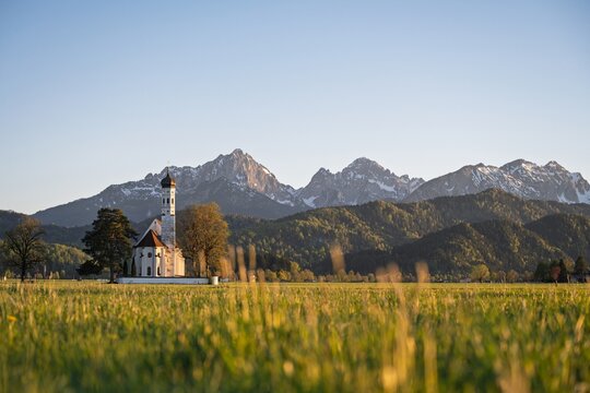 St. Coloman Church in Schwangau with Bavarian Alps and flower meadow in spring sunset light, Bavaria, Germany