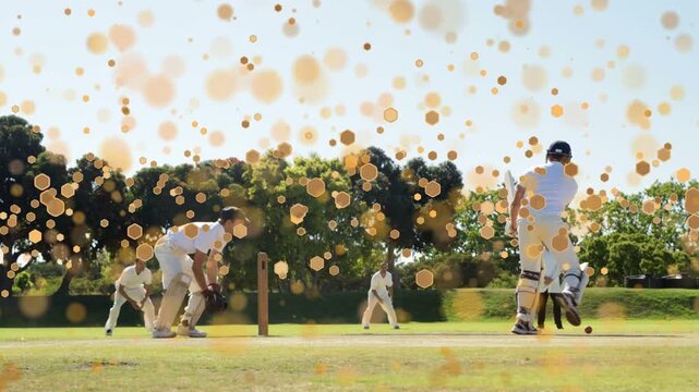 Cricket bowler running, releasing ball, batsman driving, running for run, golden bokeh hiding play