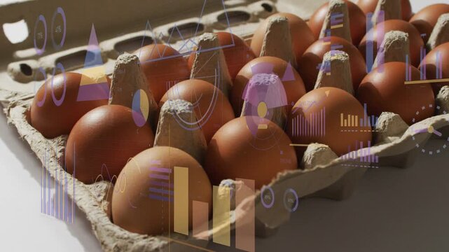 Camera pulling back, egg carton holding brown eggs revealing rows as charts drifting, showing data