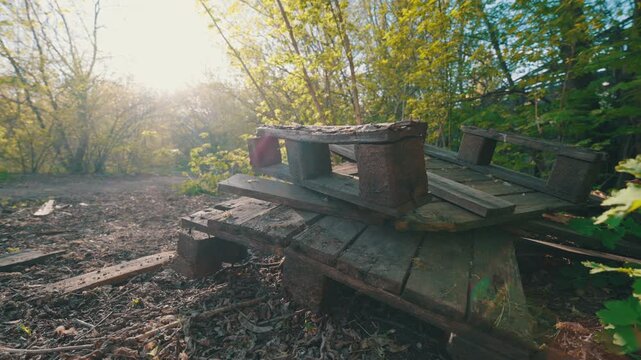Abandoned Broken Wooden Pallets Left on Wasteland Overgrown with Bushes at Sunset | Old Discarded Shipping Pallets at Derelict Industrial Site | Ultra-Wide Angle Low Ground View