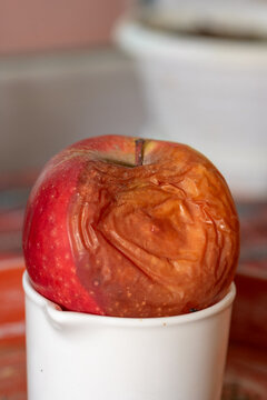 Rotten red apple sitting in white cup Shriveled fruit skin texture representing food waste decomposition and aging process in kitchen setting