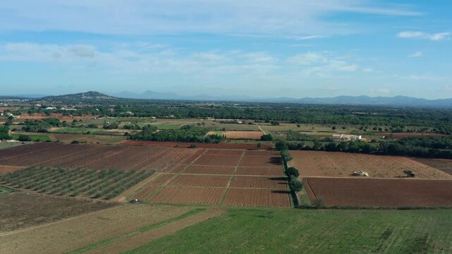 Aerial view of agricultural fields on Mallorca island Spain with green farmland landscape Mediterranean scenery and natural beauty in Europe