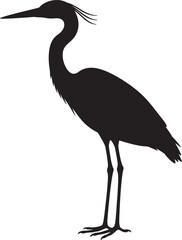 Fototapeta premium Silhouette of a black heron bird with long legs and beak, standing on white background, also transparent background