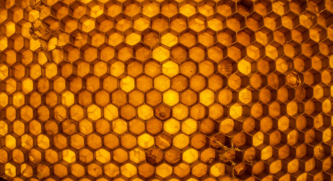 Close-up macro view of natural golden-brown honeycomb texture and perfect hexagonal geometric patter