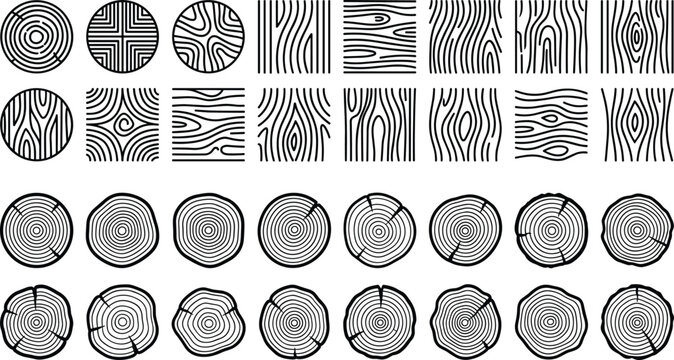 Set of wood grain textures and tree ring cross sections in linear style