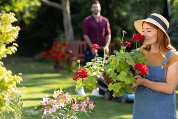 Fototapeta premium Gardening activity in a backyard on a sunny day