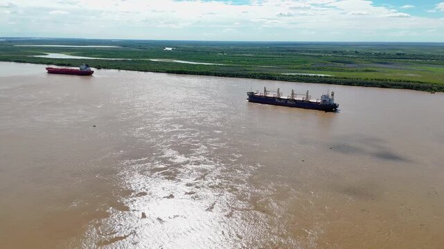 Cargo bulk carrier ships navigating the parana river in argentina