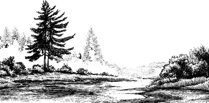Solitary pine tree overlooking calm river in open landscape
