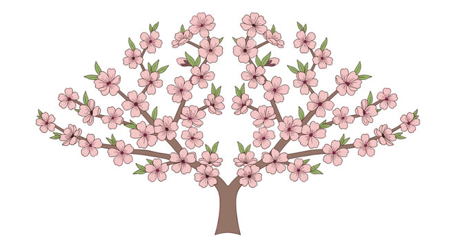 Artistic almond or peach tree with a wide canopy of pink flowers and small green leaves on white background.