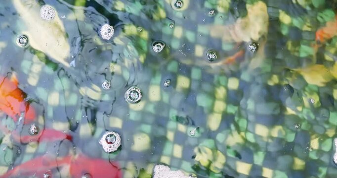 Colorful koi fish swimming beneath water surface with bubbles and reflections, symbolizing tranquility, nature balance, zen atmosphere, and Asian garden pond environment