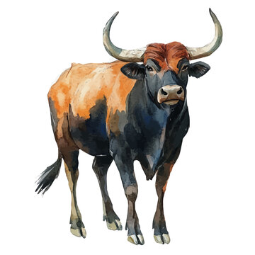 Gaur, watercolor, vector, isolated on a white background.