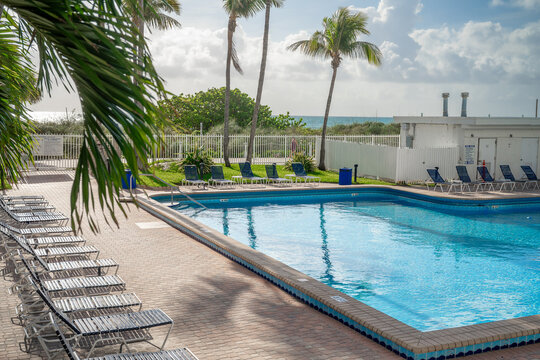 Tropical poolside area with blue water and white fence. Close up of a swimming pool with lounge chairs and palm trees against a white fence on a sunny day in Miami.