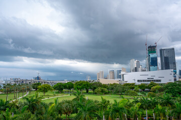 Fototapeta premium Green lawn of Maurice Ferre Park with Miami skyline. Lush green public park with trees overlooking the bay and city buildings in Miami.