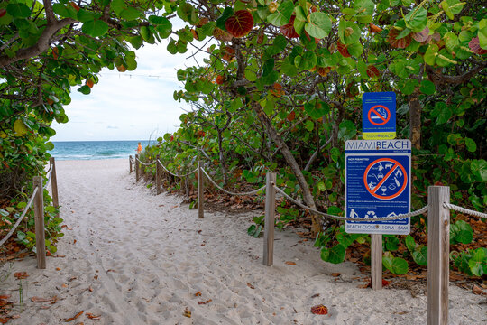 Beach entrance path with information signs and tropical vegetation. Sand pathway leading to the ocean with safety signs and green sea grape trees on Miami Beach.