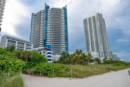 Tall skyscrapers and tropical greenery on Miami Beach shoreline. Modern high-rise architecture viewed from the sand dunes with lush green bushes and palm trees in Florida.