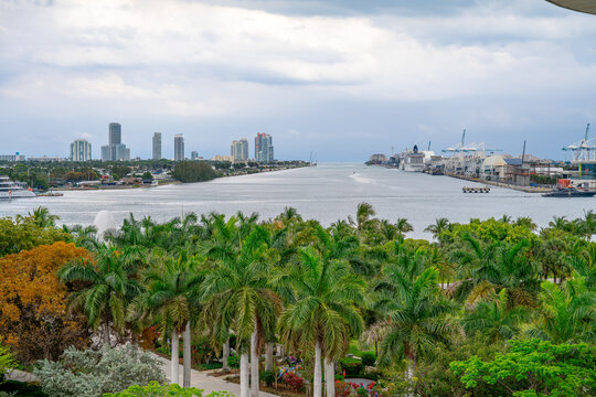 View of PortMiami channel with cruise ships and palm trees. Tropical landscape showing the waterway towards Miami Beach with ships and cranes at PortMiami.