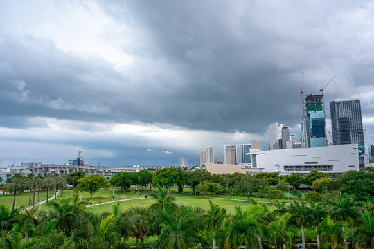 Green lawn of Maurice Ferre Park with Miami skyline. Lush green public park with trees overlooking the bay and city buildings in Miami.