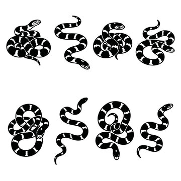 Black and white vector silhouette set of California Kingsnake