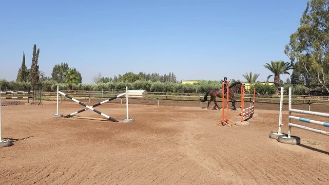 A teenage boy rides a horse with his arms raised and without holding the reins, in an open equestrian arena with jumping obstacles. The young rider practices horseback riding 