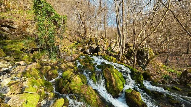 Rustic log frames a vibrant, mossy stream.  Grza river spring, Serbia