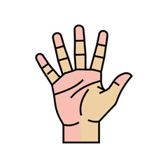 Fototapeta premium Human hand palm with lines for palmistry and anatomy illustration palmistry chiromancy
